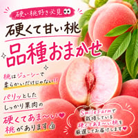 硬い桃　品種完全おまかせ〈1-4kg〉