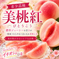 樹上熟成プレミアムピーチ　SmileFarmイチオシ👍　白桃【美桃紅】〈1-4kg〉
