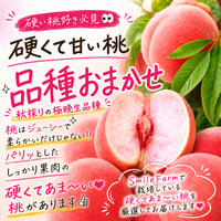 秋採りの硬くてあま〜い桃　品種完全おまかせ〈1-4kg〉