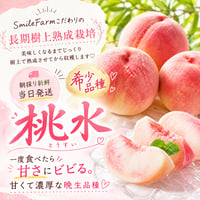 樹上熟成プレミアムピーチ　白桃【桃水】〈1-4kg〉