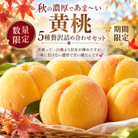 🌟数量限定🌟樹上熟成プレミアムピーチ　秋の濃厚黄桃贅沢5種詰め合わせ〈1-4kg〉