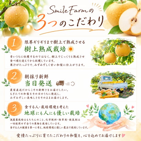 旬の和梨　贅沢詰め合わせセット〈1-4kg〉