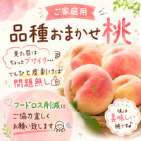 品種完全おまかせ　ご家庭用桃〈1-4kg〉