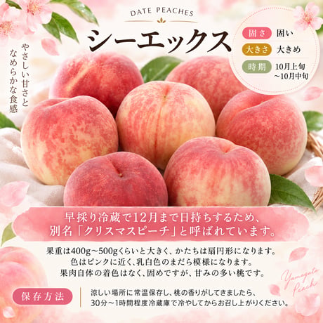 樹上熟成プレミアムピーチ　白桃【シーエックス】〈1-4kg〉