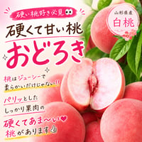 驚きの新感覚桃＊パリッと硬くて甘いッ＊【おどろき】　〈1-4kg〉