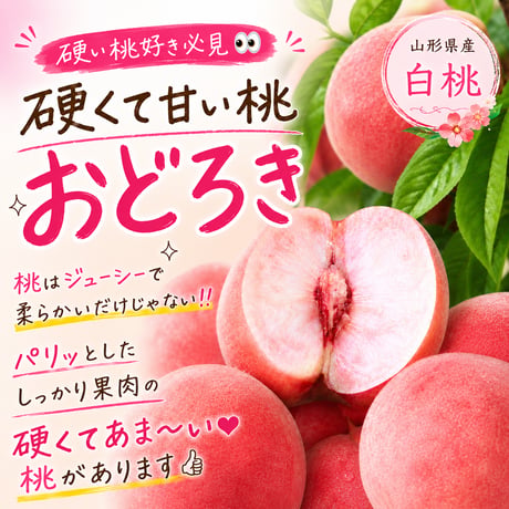 驚きの新感覚桃＊パリッと硬くて甘いッ＊【おどろき】　〈1-4kg〉