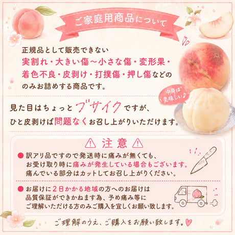 品種完全おまかせ　ご家庭用桃〈1-4kg〉