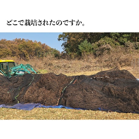 ごま油(참기름)+海苔キムジャバン(김자반)21袋SET