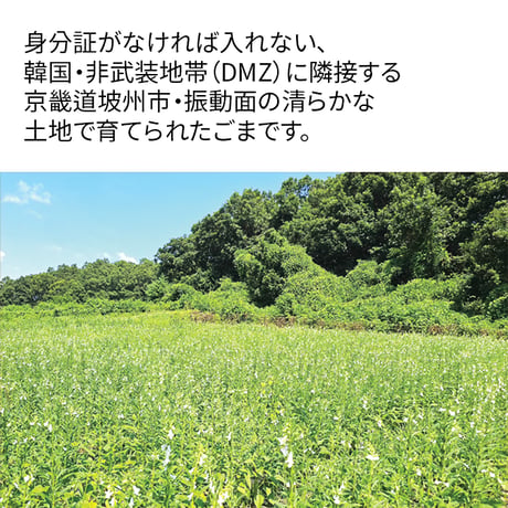 ごま油(참기름)+海苔キムジャバン(김자반)21袋SET