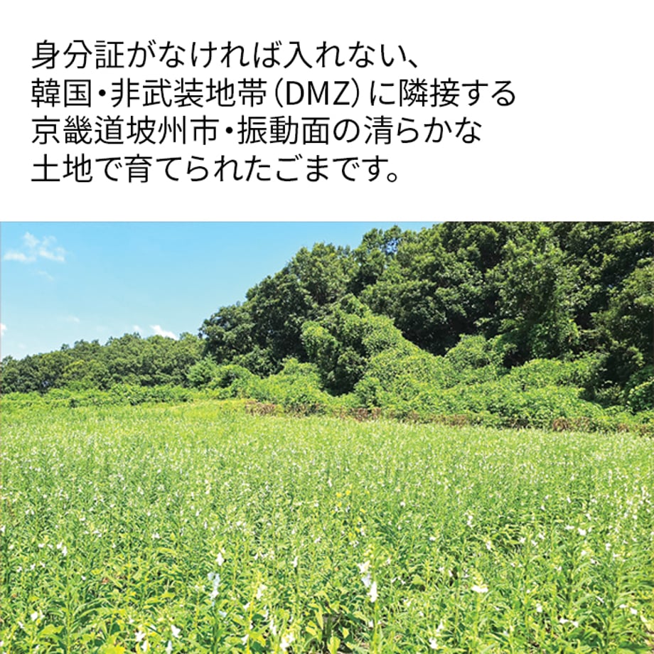 6ac5e8179b03154a3d0c485a