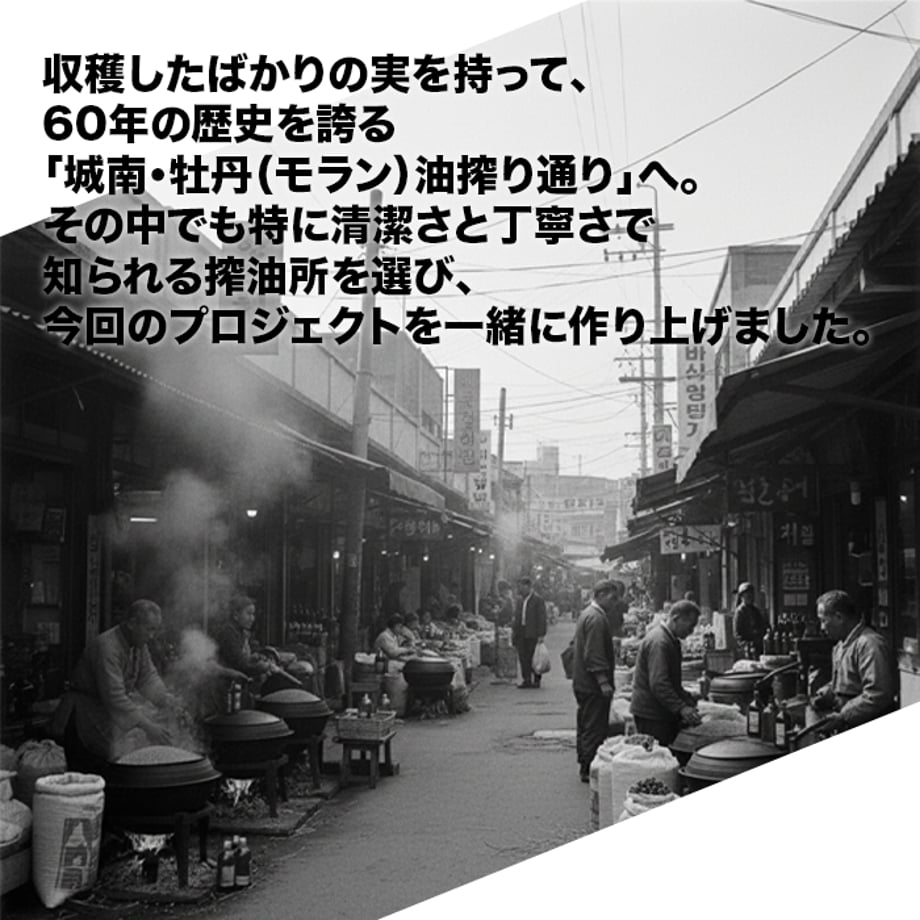 6ac5e8179b03154a3d0c485a
