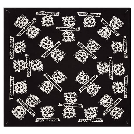 TEAM WORKS / BANDANA / CITY SKULL VINTAGE BLACK