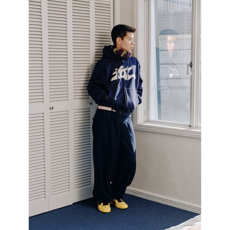 SOL soonerorlater / PIN-STRIPE BALLOON PANTS / GRAY
