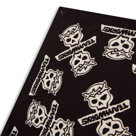 TEAM WORKS / BANDANA / CITY SKULL VINTAGE BLACK