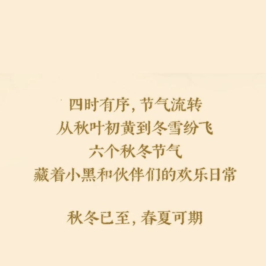 6ab33a55b626bc064d50854e