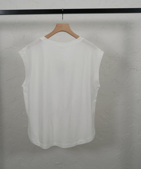 Ice premium　T