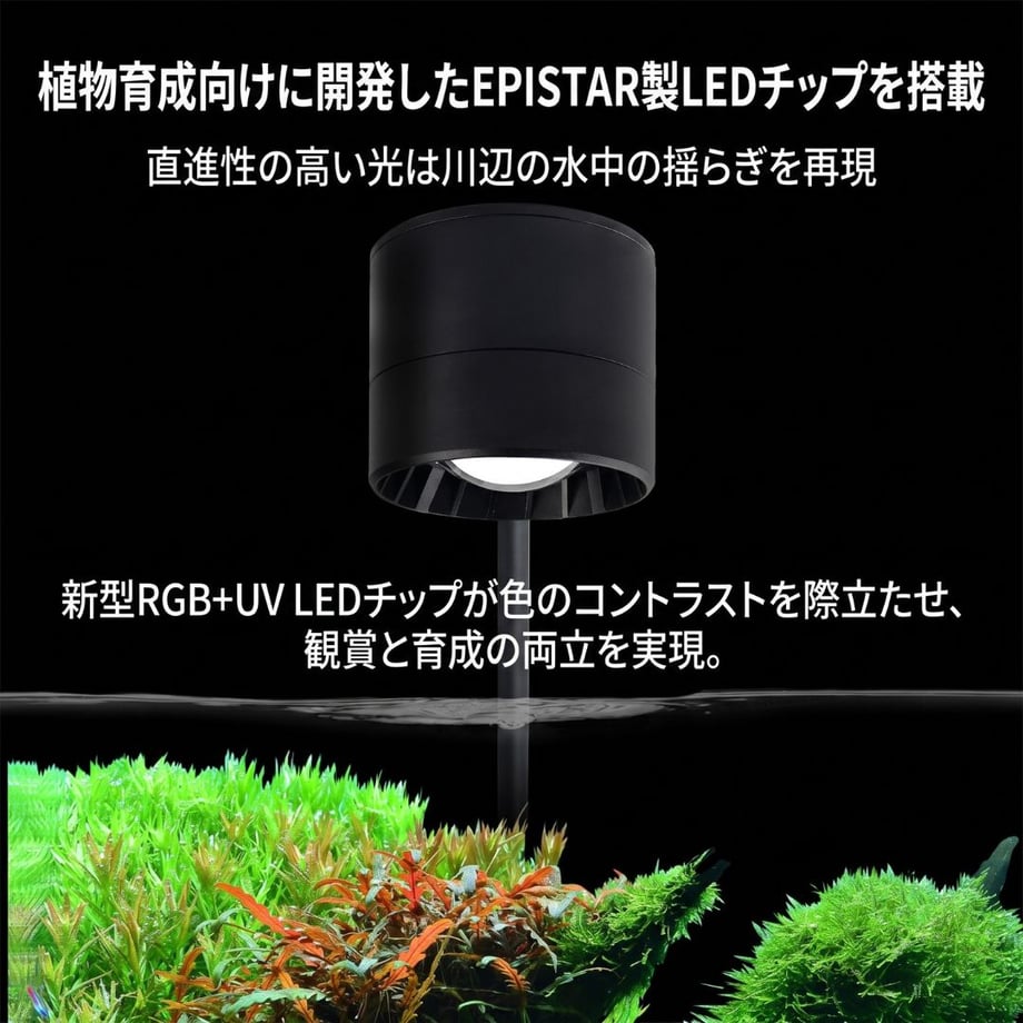 6a6849533ffd8e172366f26c