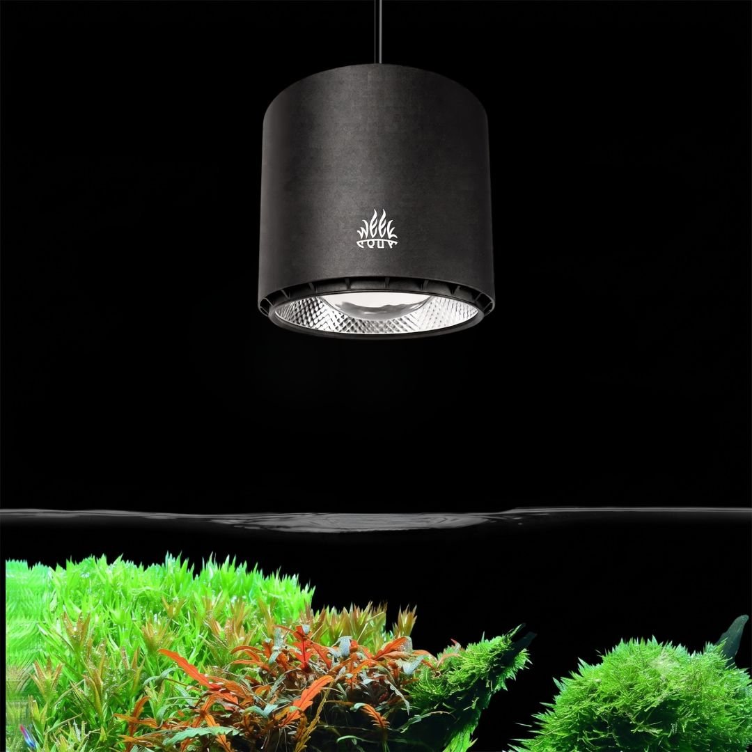 AQUA FLARE UVA T90 RGB PRO MAX | アクアリウム LEDライト専