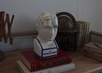 【陶器製】骨相学 頭部模型 オブジェ「THE HUMAN MIND」