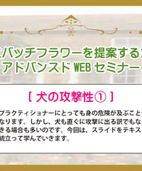 【見逃し配信】アドバンスドWEBセミナー【犬の攻撃性①】