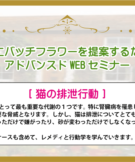 アドバンスドWEBセミナー【猫の排泄行動】