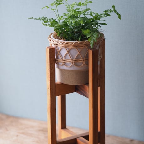 観葉植物（プテリス・エンシフォルミス・エバーゲミエンシス）鉢カバー、スタンド付き