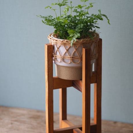 観葉植物（プテリス・エンシフォルミス・エバーゲミエンシス）鉢カバー、スタンド付き