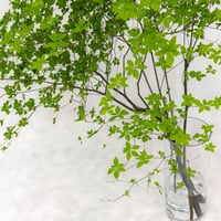 【定期便・送料無料】季節の枝もの（床置きサイズ）