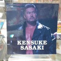 レックス・ルガー（WCW時代）可動式フィギュア（開封済） | プロレス