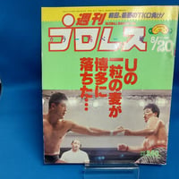 週刊プロレス 1991年8月20日号