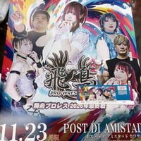 飛鳥プロレス 11/23 POST DI AMISTAD