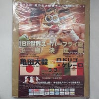 ドラゴンゲートオフィシャルパンフレットVol.49（複数選手直筆サイン