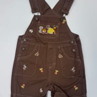 Safari shortall 【24M】