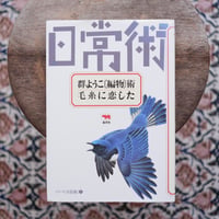 群ようこ〔編物〕術・毛糸に恋した〈シリーズ日常術 1〉