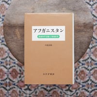 アフガニスタン：国連和平活動と地域紛争