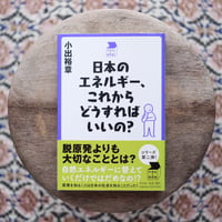 日本のエネルギー、これからどうすればいいの？〈中学生の質問箱〉