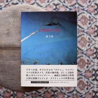 注視者の日記
