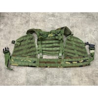 ELCS ベスト　safariland