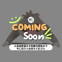 ポケモン 中国ポケモンセンター リラックスシリーズ ぬいぐるみカーテンタッセル 【ナマケロ】