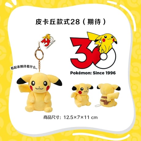 海外ポケモングッズ 中国限定 30周年記念シリーズ ピカチュウ ぬいぐるみ 【16～30】