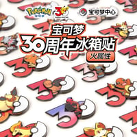 ポケモン 中国ポケモングッズ ポケモン30周年 炎タイプ マグネット ①