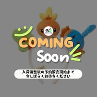 ポケモン 中国ポケモンセンター 「随心搭配」シリーズ ぬいぐるみカチューシャ 【キモリ＆アチャモ＆ミズゴロウ】