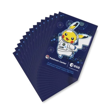 ポケモンカード 海外ポケモンセンター Pokémon ESA 【デッキシールド（65枚入り）】