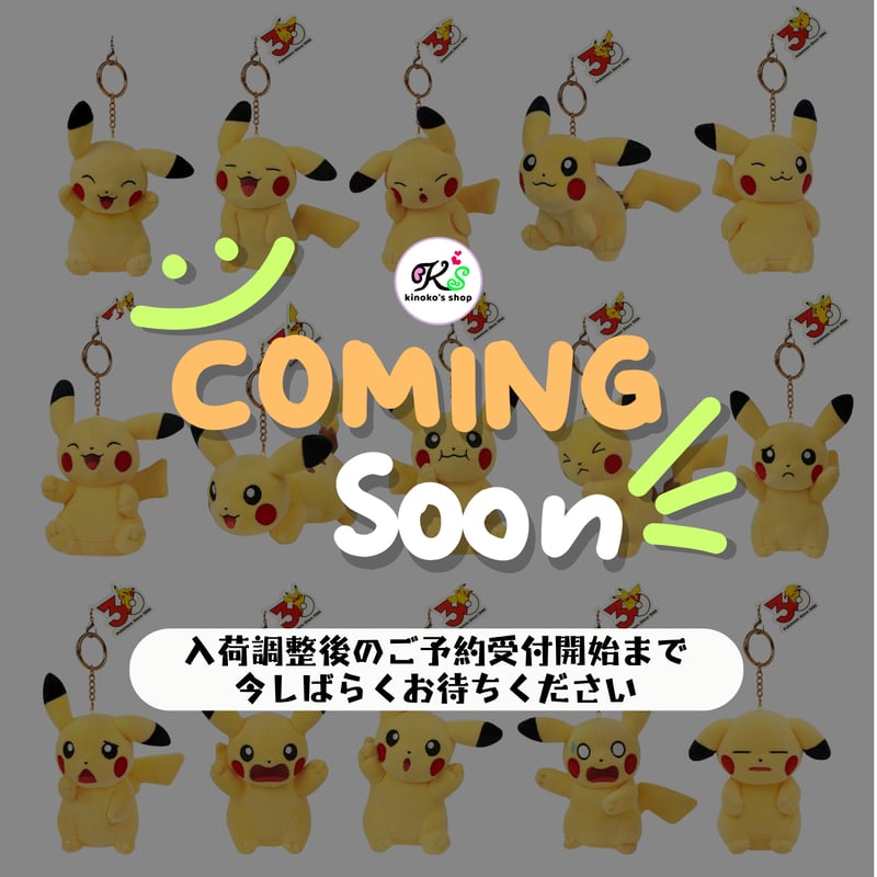 海外ポケモングッズ 中国限定 30周年記念シリーズ ピカチュウ