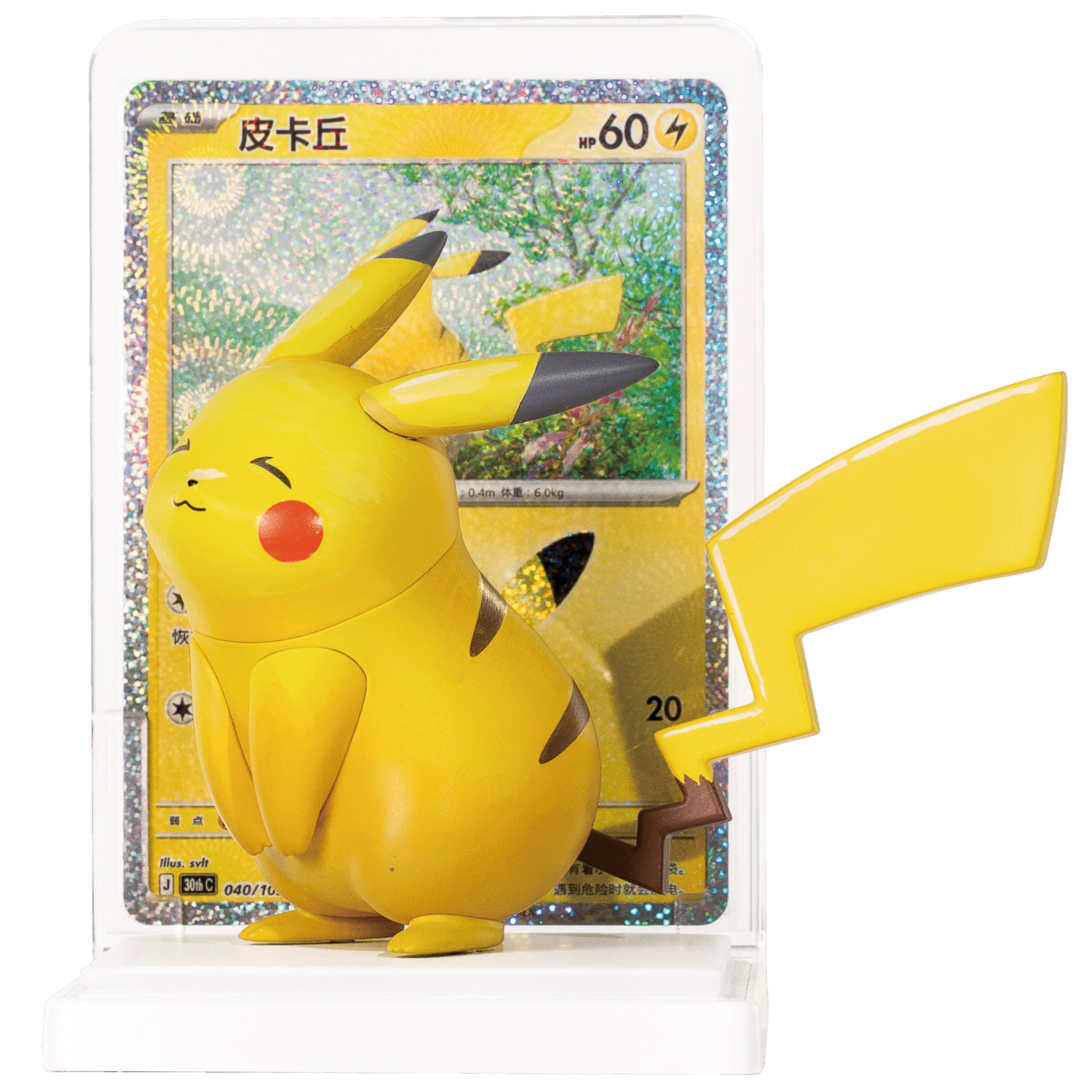 カードは付属しません】ポケモンカード 中国BOX封入 カードイラスト