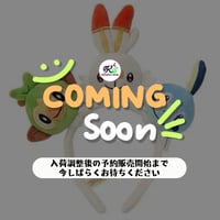 ポケモン 中国ポケモンセンター 「随心搭配」シリーズ ぬいぐるみカチューシャ 【サルノリ＆ヒバニー＆メッソン】