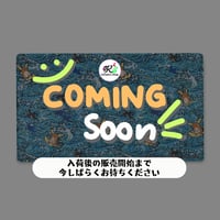 ポケモンカード 海外ポケモンセンター Whitecap Cruising 【プレイマット】