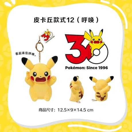 海外ポケモングッズ 中国限定 30周年記念シリーズ ピカチュウ ぬいぐるみ 【1～15】