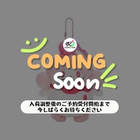 ポケモン 中国ポケモンセンター 嬉闹派对 Play Rough じゃれつくシリーズ ボールチェーンマスコット ペロリーム