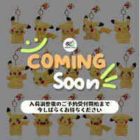海外ポケモングッズ 中国限定 30周年記念シリーズ ピカチュウ ぬいぐるみ 【1～15】